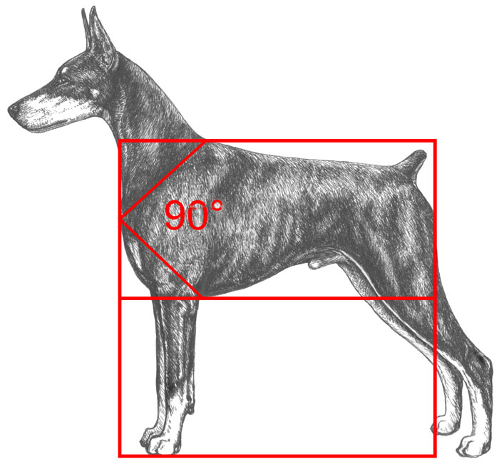 270 clockwise rotation - dopgerman